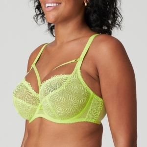 SOPHORA LIU Lime crush