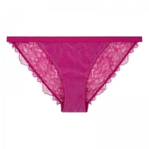 Wild Rose Hot Pink