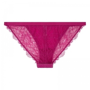 Wild Rose Hot Pink