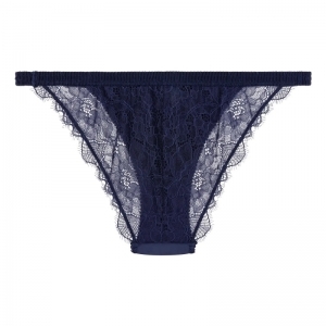 Wild Rose Dark blue