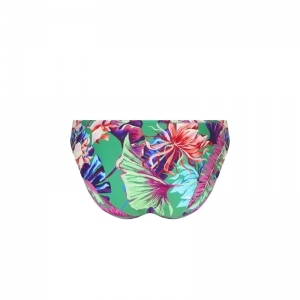 Paradis sauvage Vert Sauvage