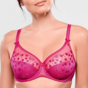 Tess Rose samba
