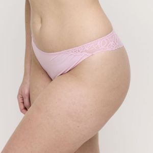 SALERNO SNR Spring Rose