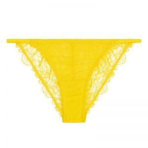 Wild Rosie Yellow