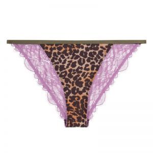 Wild Rose Leopard