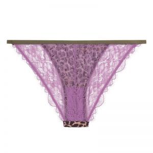 Wild Rose Leopard