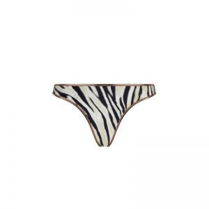 La tigre blanc Tigre bronze