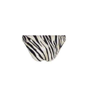 La tigre blanc Tigre bronze