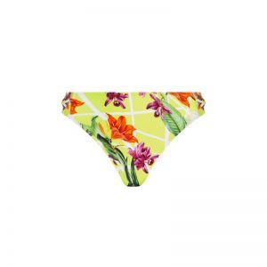 Fleurs splendeur Splendeur lime