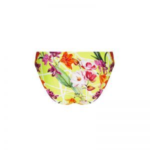Fleurs splendeur Splendeur lime