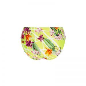 Fleurs splendeur Splendeur lime