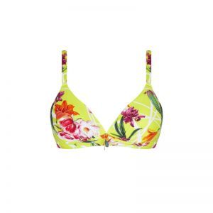Fleurs splendeur Splendeur lime