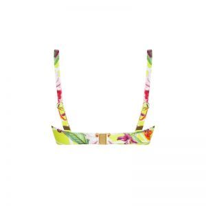 Fleurs splendeur Splendeur lime