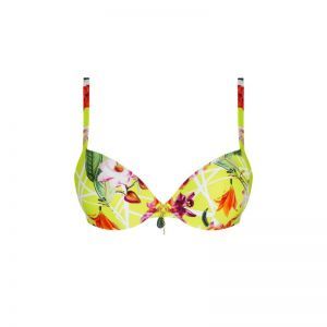 Fleurs splendeur Splendeur lime
