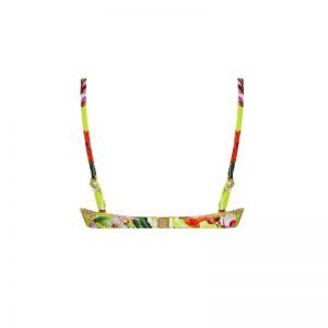 Fleurs splendeur Splendeur lime