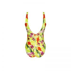 Fleurs splendeur Splendeur lime