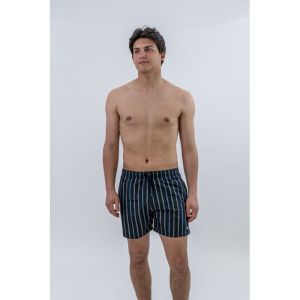 Zwemshort Strip blue