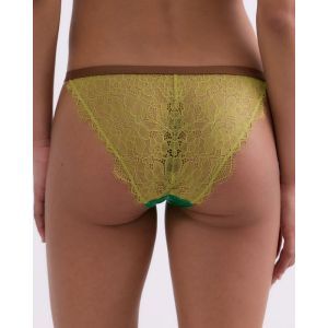 Wild Rose Bright green